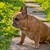 Image-square_50