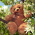 Image-square_50