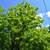 Image-square_50