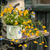 Image-square_50