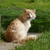 Image-square_50
