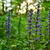 Image-square_50