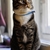 Image-square_50