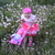 Image-square_50