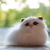 Image-square_50