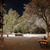 Image-square_50