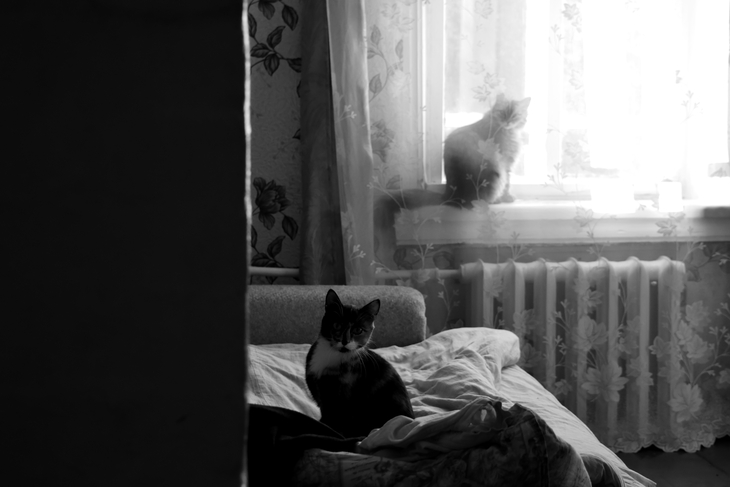 Image-normal