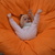 Image-square_50