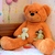 Image-square_50