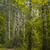 Image-square_50