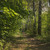 Image-square_50
