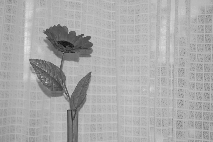 Image-normal