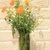 Image-square_50