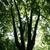 Image-square_50
