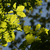 Image-square_50