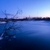 Image-square_50