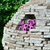 Image-square_50