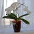 Image-square_50