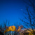 Image-square_50