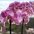 Image-square_50