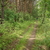 Image-square_50