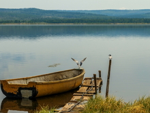 Image-rectangle_220_165