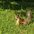 Image-square_50