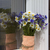 Image-square_50
