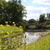 Image-square_50