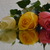 Image-square_50