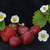 Image-square_50