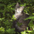 Image-square_50