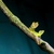 Image-square_50