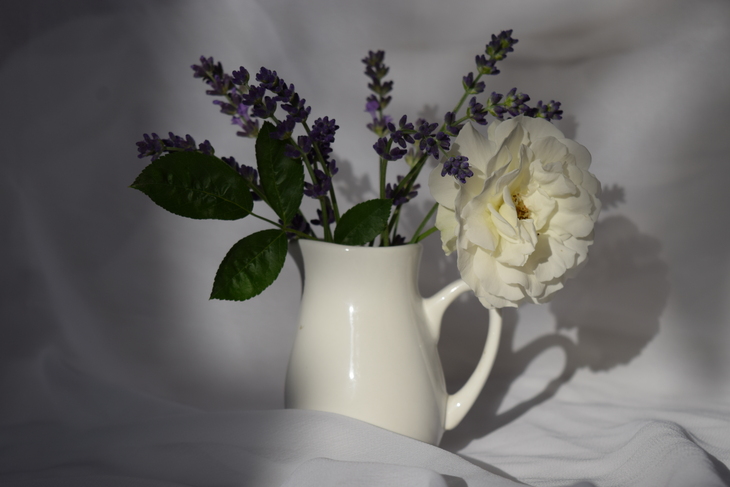 Image-normal