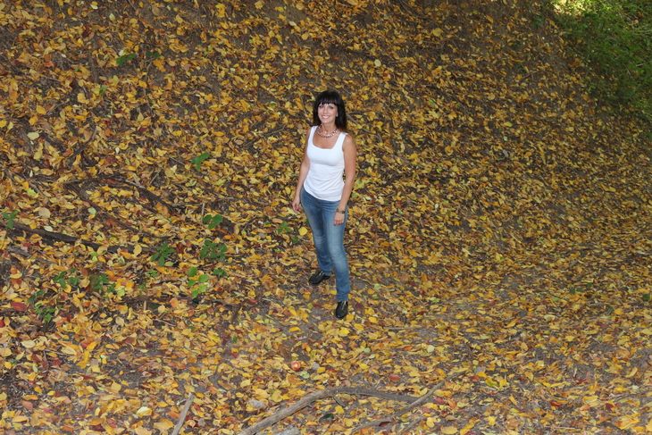 Image-normal