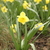 Image-square_50