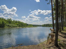 Image-rectangle_220_165